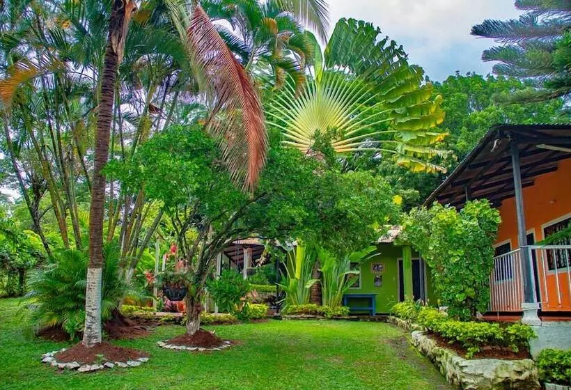 ペンション Los Palmares Hostel