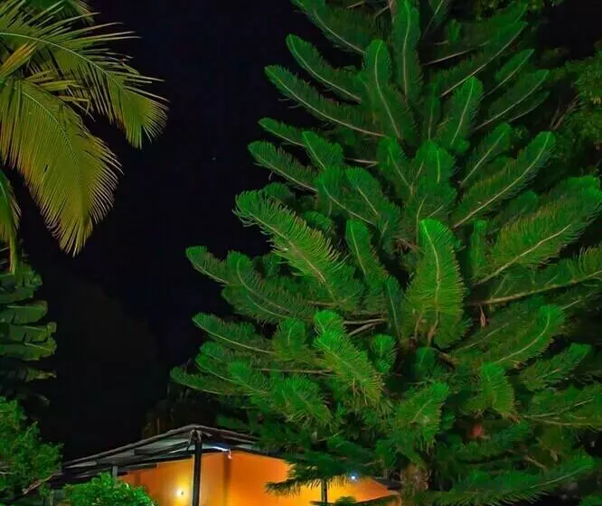 ペンション Los Palmares Hostel