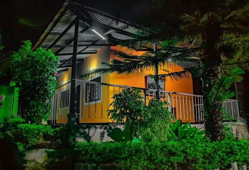 ペンション Los Palmares Hostel