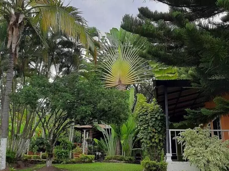 ペンション Los Palmares Hostel