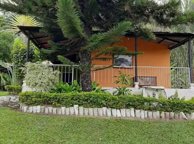 ペンション Los Palmares Hostel