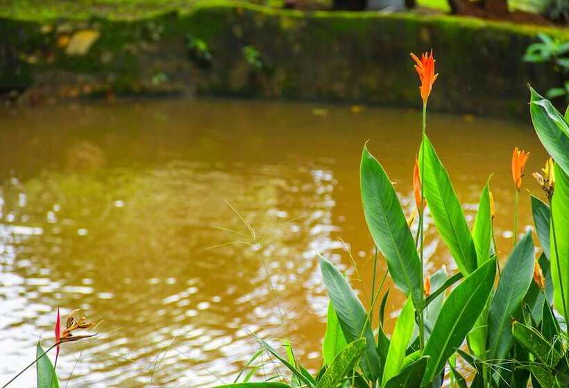 پانسیون Los Palmares Hostel