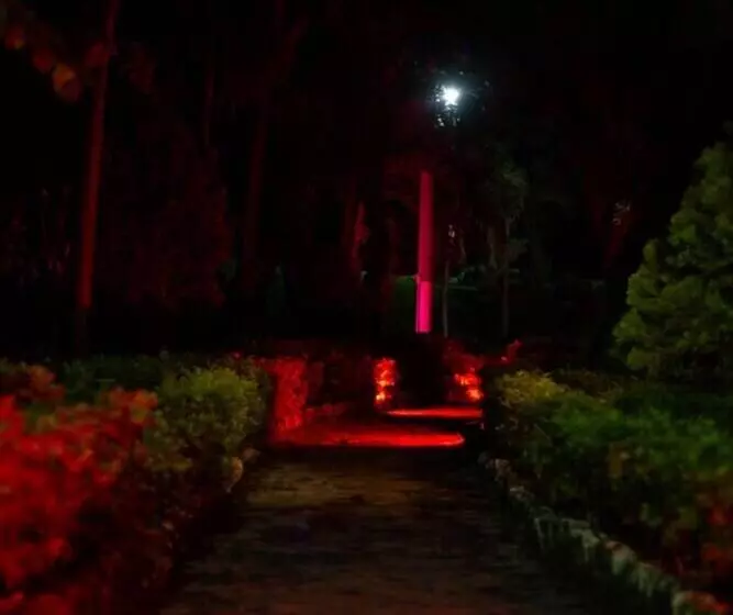 ペンション Los Palmares Hostel