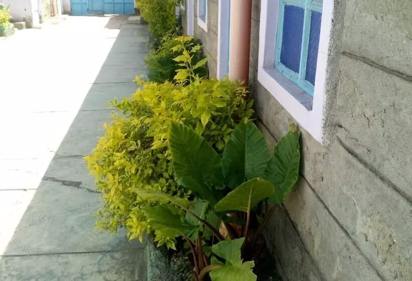 پانسیون My Choice Guest House   Adults Only