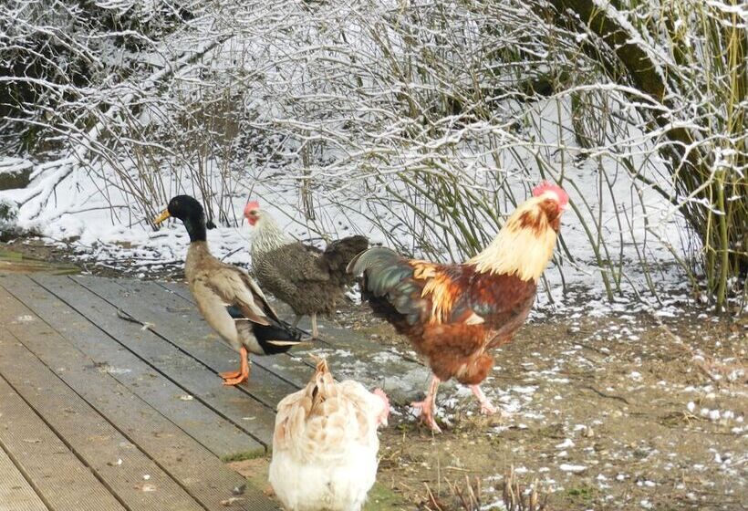 Pensão Wampendobler Paradies