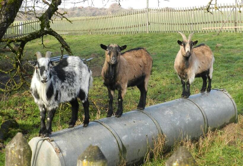 Pensão Wampendobler Paradies