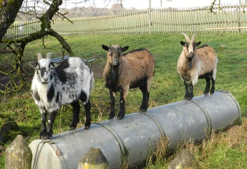 Majatalo Wampendobler Paradies