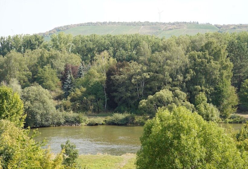 Pensão Weingut Martin Blass