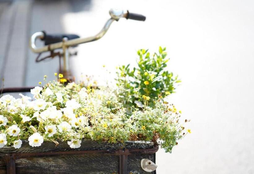 Pensão Weingut Martin Blass