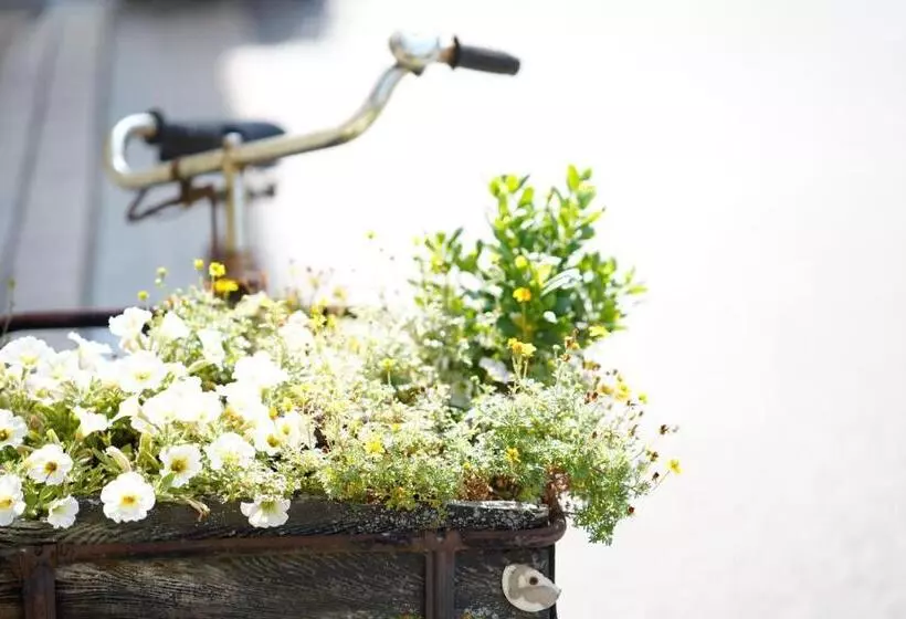 Majatalo Weingut Martin Blass