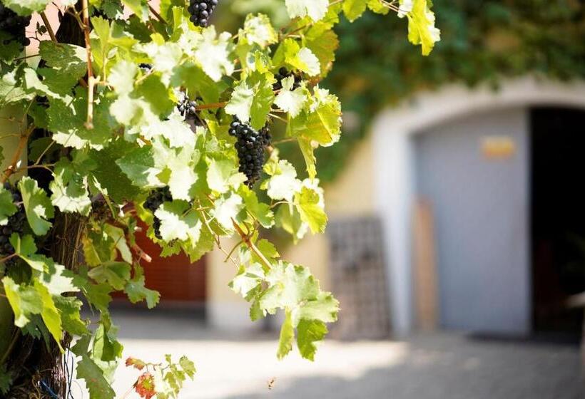 Pensão Weingut Martin Blass