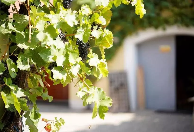 Majatalo Weingut Martin Blass