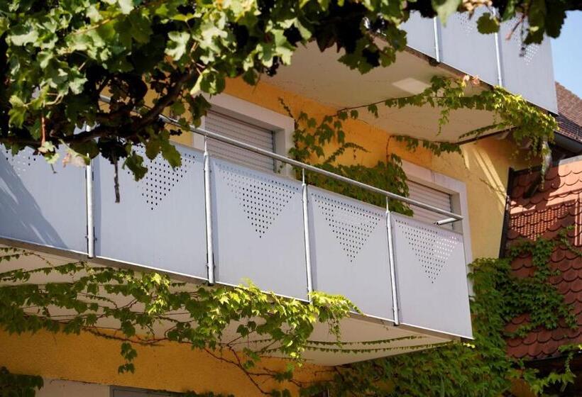 Pensão Weingut Martin Blass