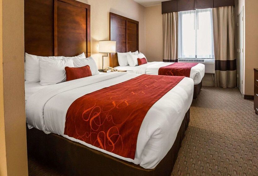 ホテル Comfort Suites