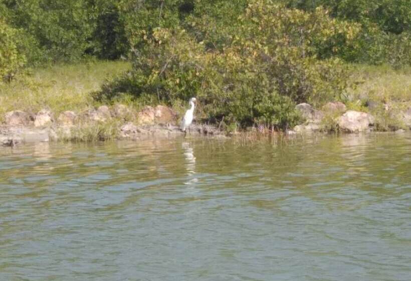 هتل Glamping Ecolodge Cueva De Las águilas