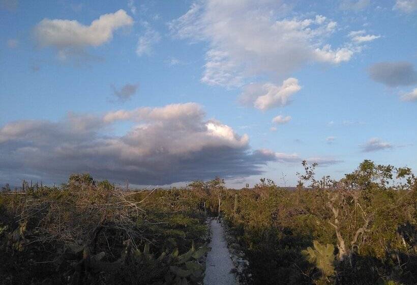 هتل Glamping Ecolodge Cueva De Las águilas