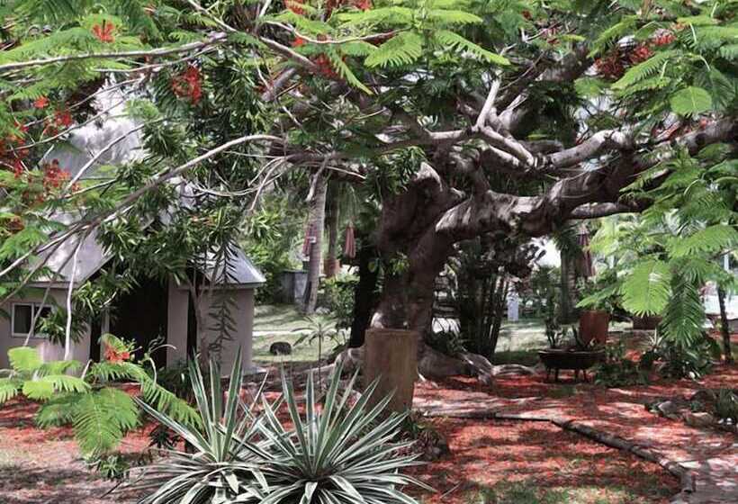 هتل Naina Park Resort