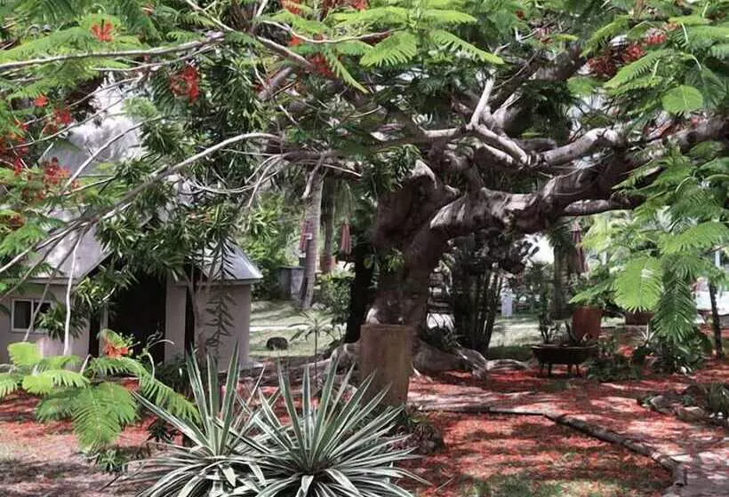 هتل Naina Park Resort