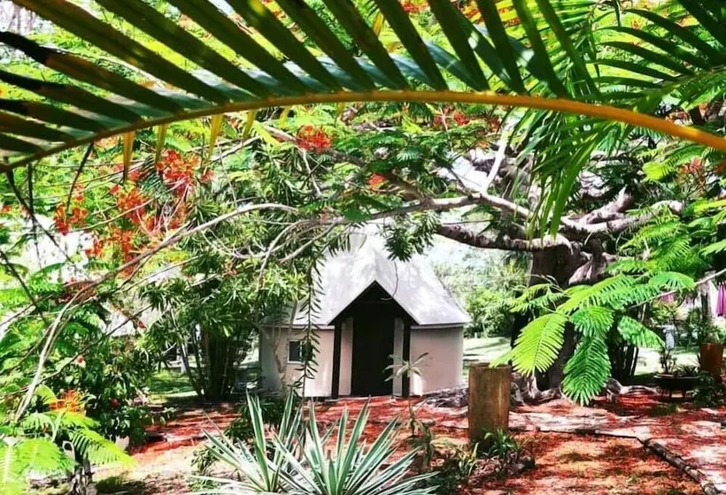 هتل Naina Park Resort