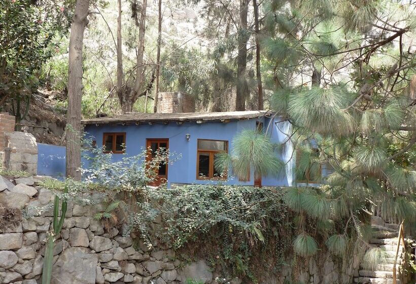 בית מלון כפרי Santa Eulalia Bungalows