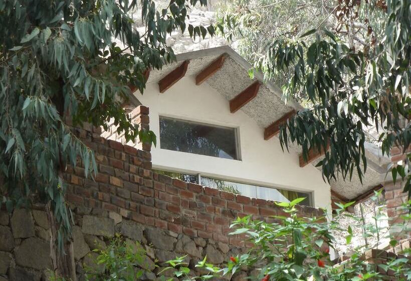 בית מלון כפרי Santa Eulalia Bungalows