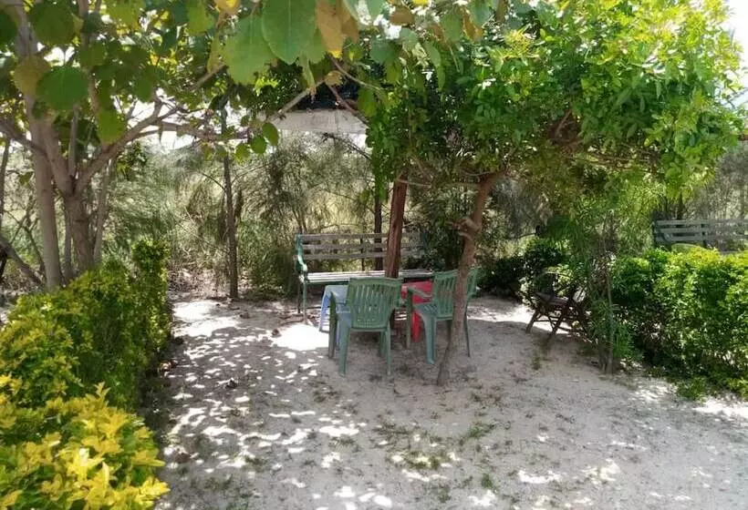 هتل Wonderland Resort