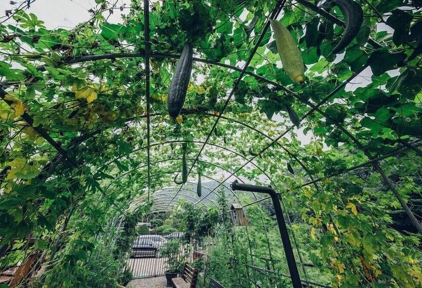 Panzió Asamo Poolvilla