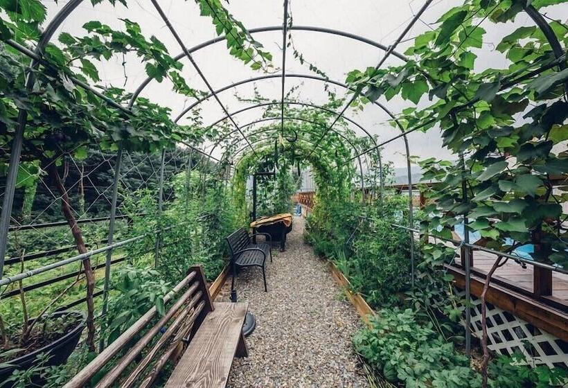 Panzió Asamo Poolvilla