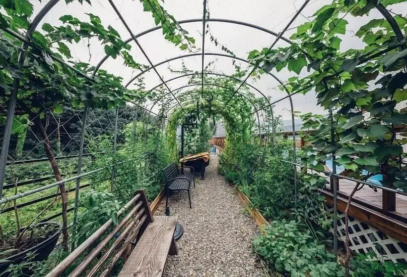 ペンション Asamo Poolvilla