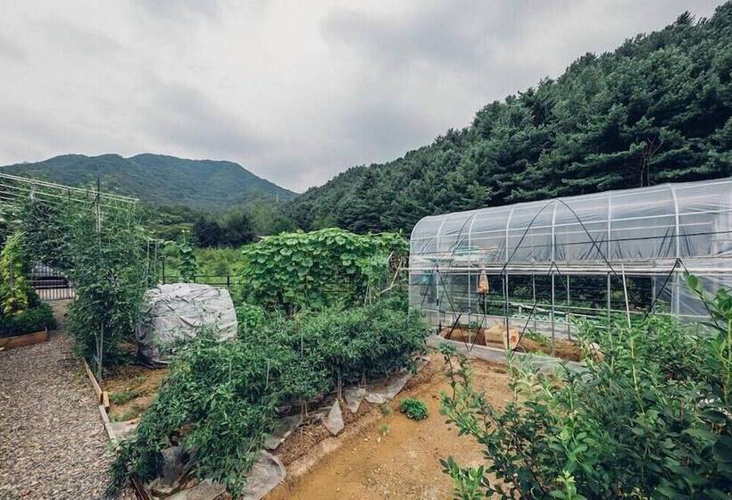 Panzió Asamo Poolvilla