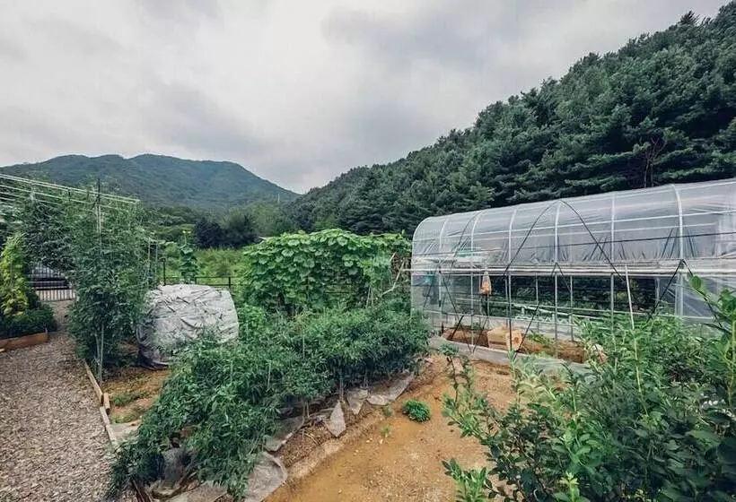 ペンション Asamo Poolvilla