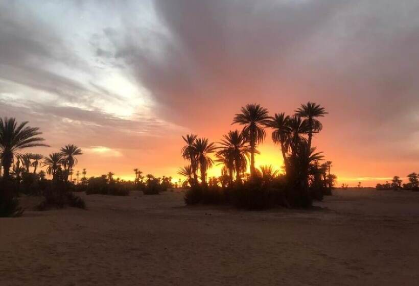 膳宿费 Sahara Trips