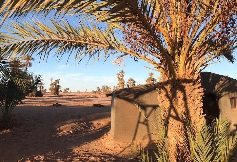 膳宿费 Sahara Trips