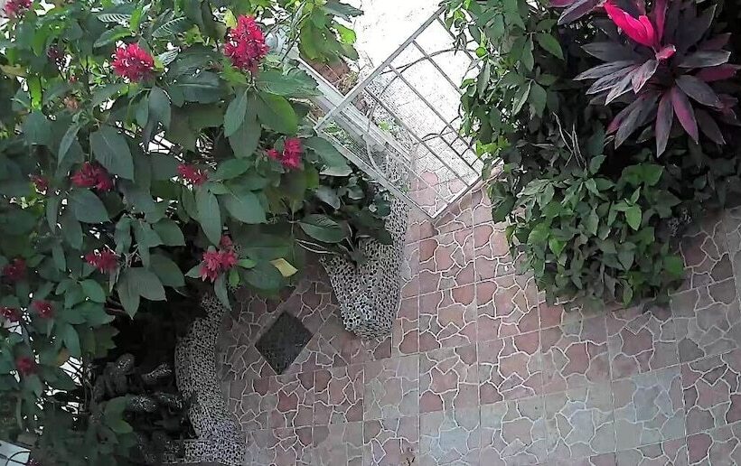 پانسیون Maison D Hotes La Mboroise