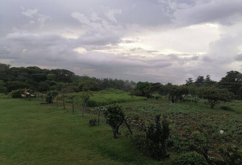 פנסיון Monteverde Eco Love