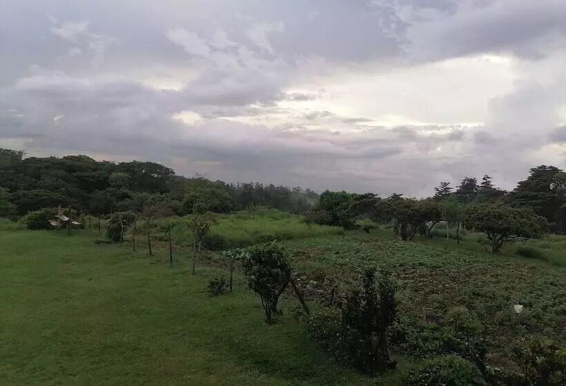 Majatalo Monteverde Eco Love