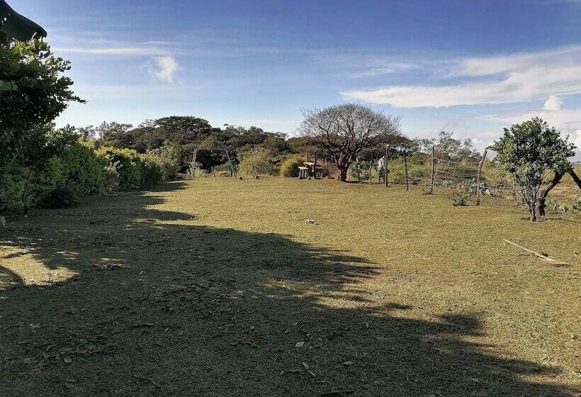 פנסיון Monteverde Eco Love