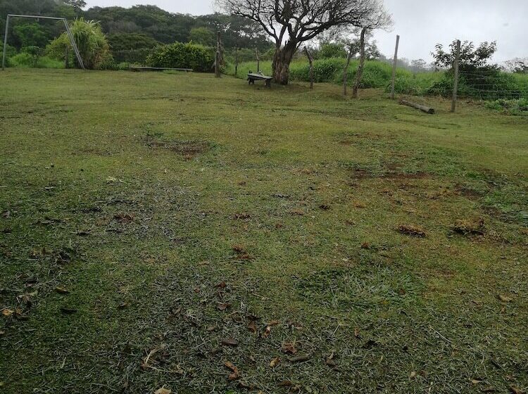 פנסיון Monteverde Eco Love