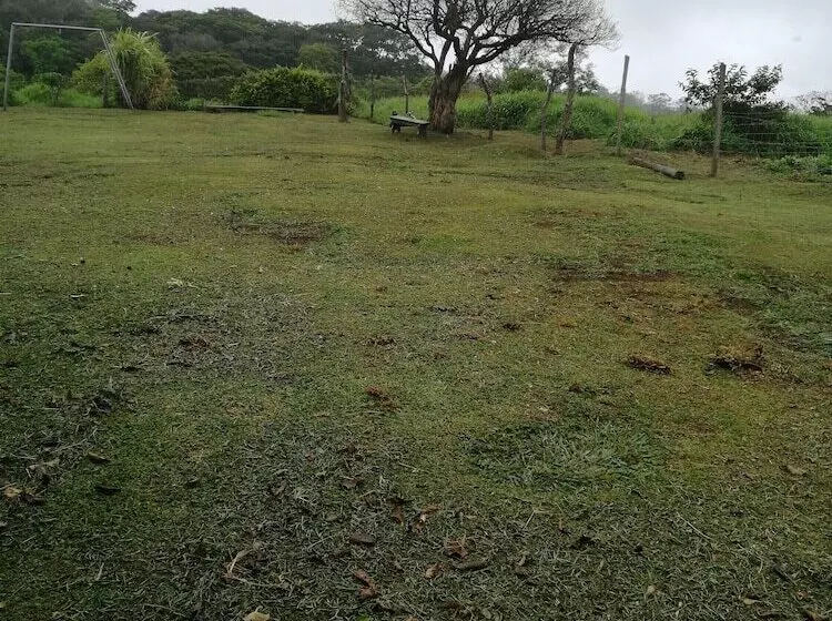 Majatalo Monteverde Eco Love