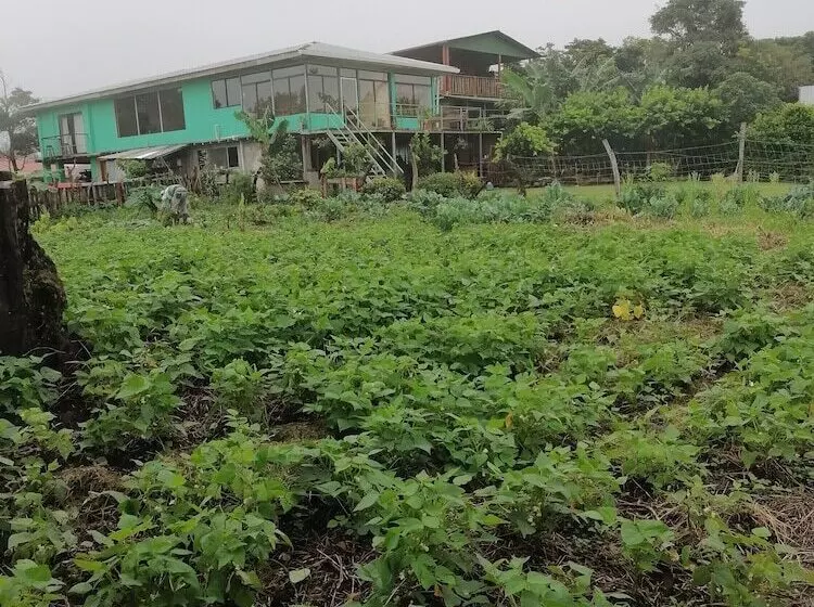 Majatalo Monteverde Eco Love