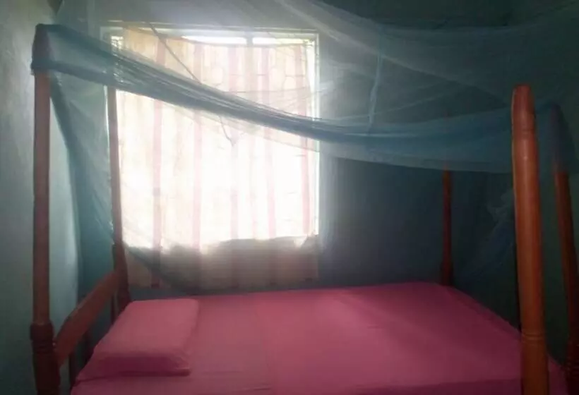 پانسیون Silent Night Guest House