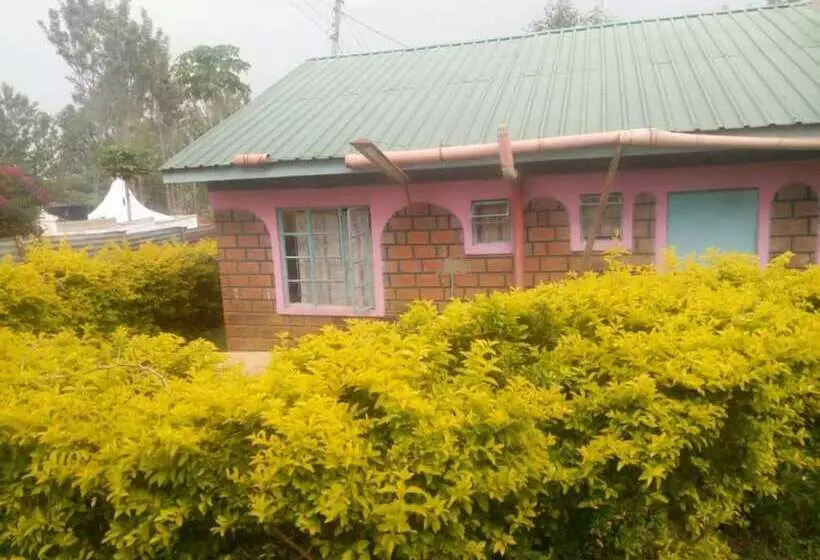 پانسیون Silent Night Guest House