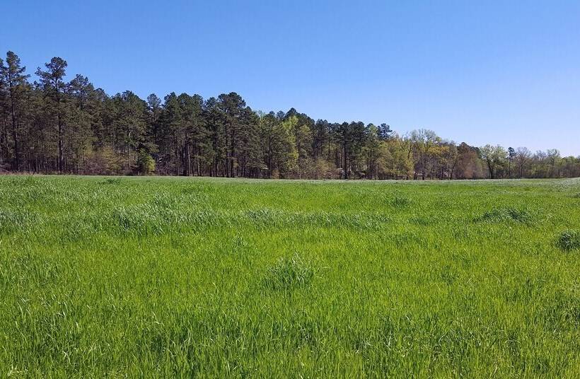 Sierra Escape Cabin With Fire Pit And Charcoal Grill By Redawning