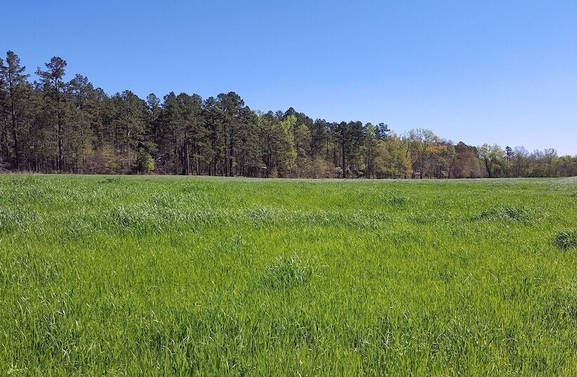 Sierra Escape Cabin With Fire Pit And Charcoal Grill By Redawning