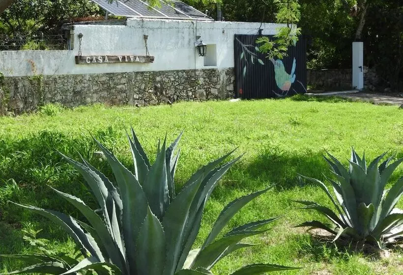 Aamiaismajoitus (B&B) Casa Viva Mérida