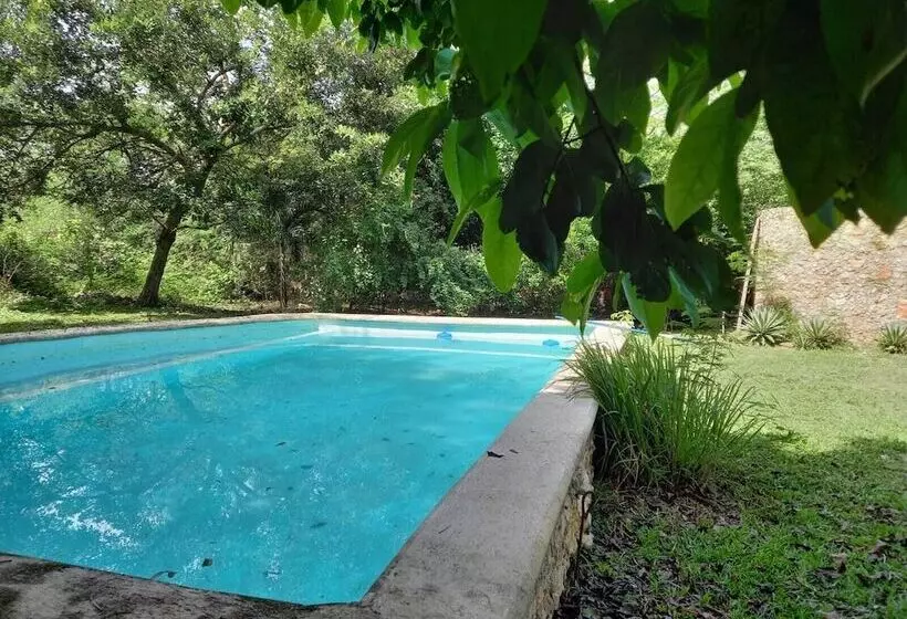 Aamiaismajoitus (B&B) Casa Viva Mérida