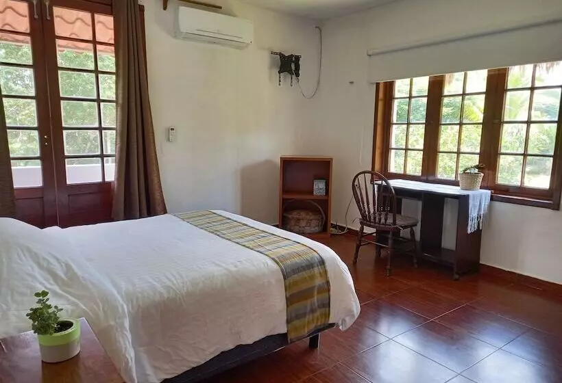 Aamiaismajoitus (B&B) Casa Viva Mérida