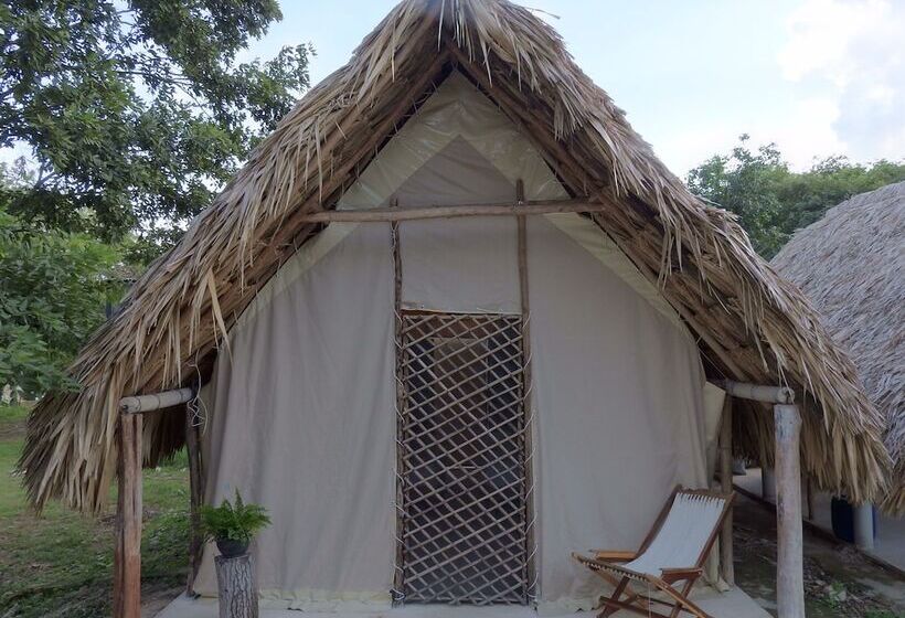 민박 Casa Viva Mérida