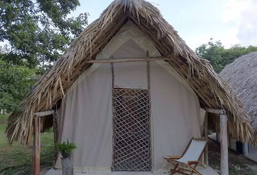 Aamiaismajoitus (B&B) Casa Viva Mérida