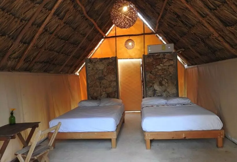 Aamiaismajoitus (B&B) Casa Viva Mérida